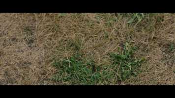 Free download Candyman - Official Trailer [HD] video and edit with RedcoolMedia movie maker MovieStudio video editor online and AudioStudio audio editor onlin